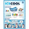 Brain Games Publishing Ice Cool