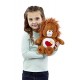 Care Bears 14665 Brave Heart Lion Plush Toy With DVD (Medium)