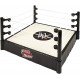 WWE DXH00 Tough Talkers Interactive Ring