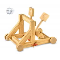 Wooden Catapult Craft Kit