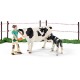 Schleich 41428