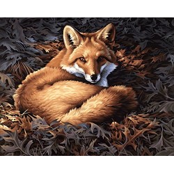 Dimensions Paintworks Paint by Numbers Sunlight Fox Kit