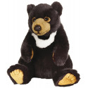 National Geographics Asion Bear Stuffed Animals Plush Toy (Black)