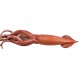 Giant Squid