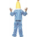 Fancy Dress Adult Costume