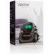 Vector Robot by Anki