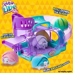 Little Live Pets 28403 Hedgehog and House