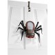  Arakno The Awesome Interactive Arachnid Toy