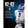 R2