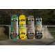 Osprey Complete Beginners Double Kick Trick Skateboard, 31 x 8 Inches Maple Deck